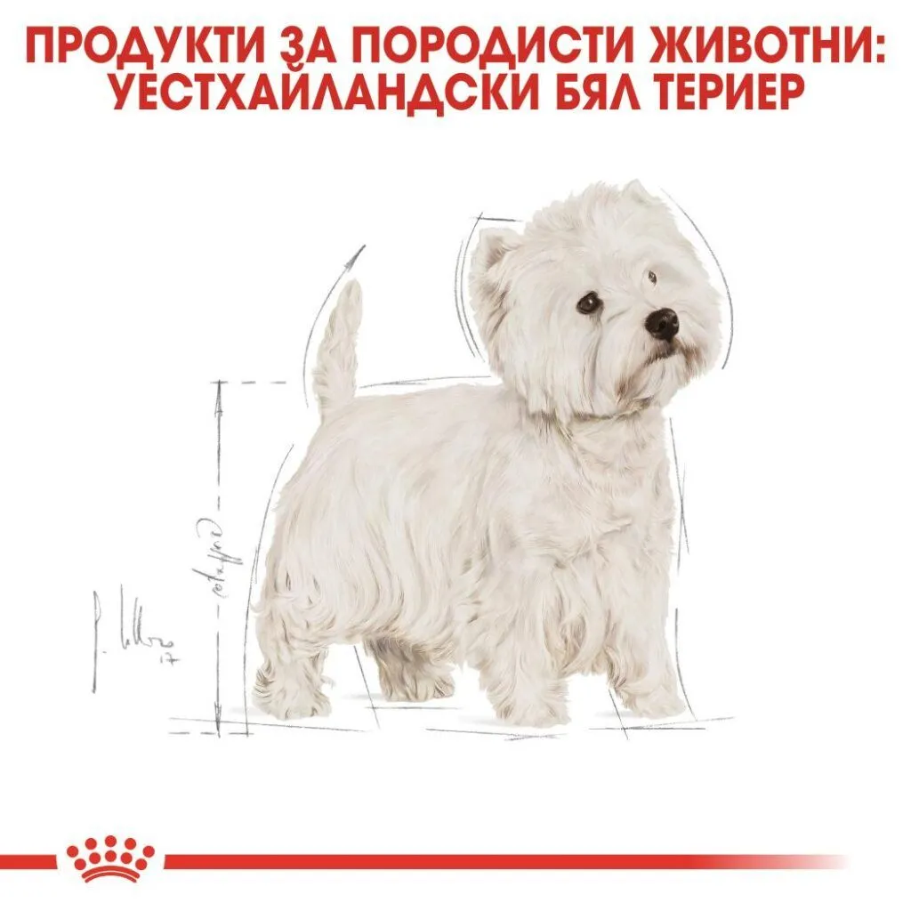 ROYAL CANIN® BHN WESTIE 3kg - изображение 5