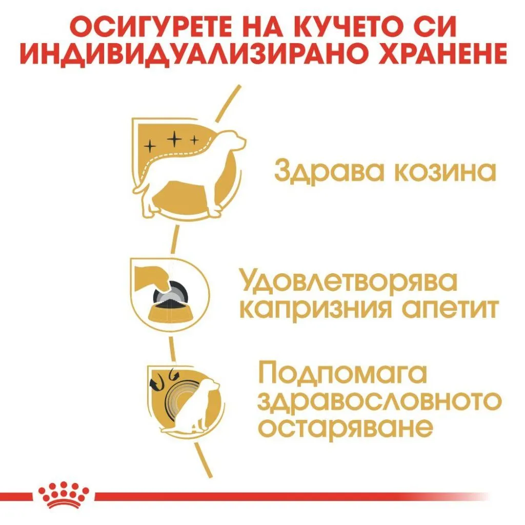 ROYAL CANIN® BHN YORKSHIRE ADULT 0.5kg - изображение 3
