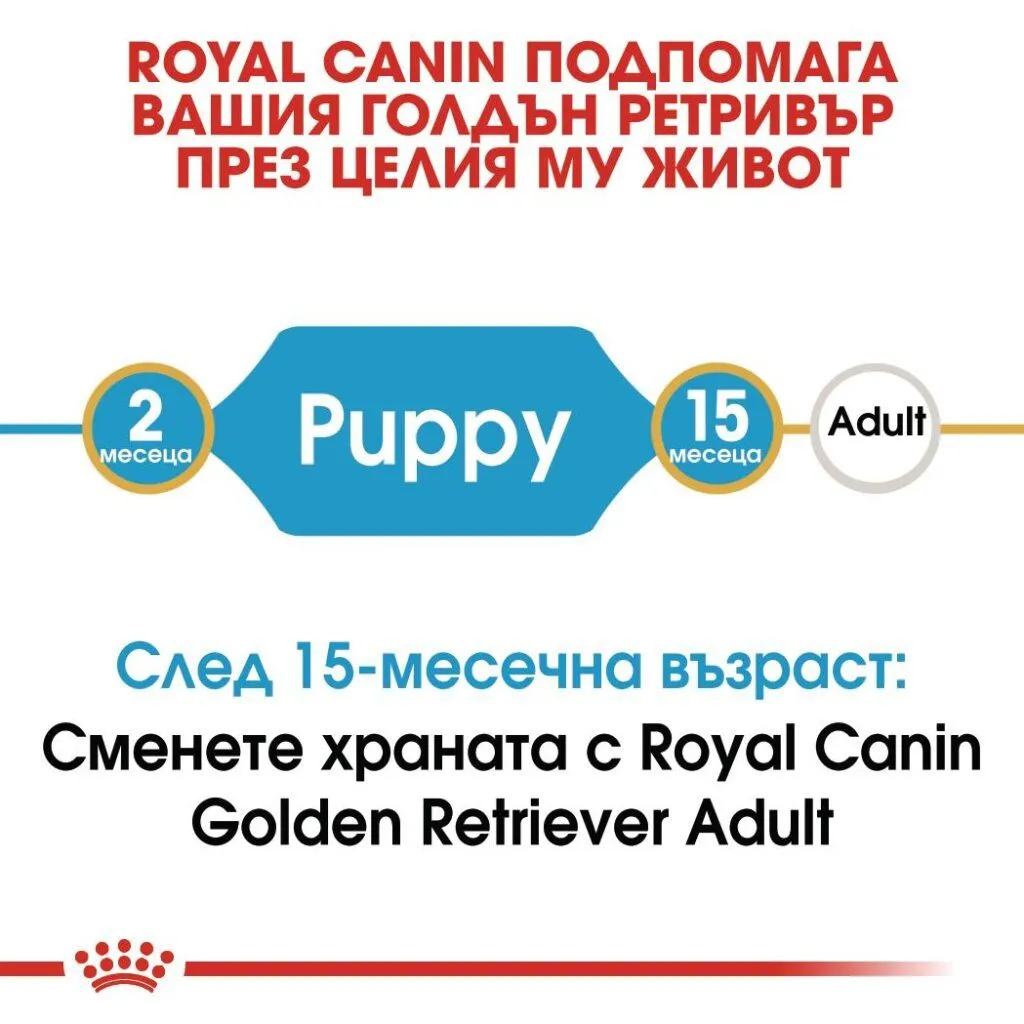 ROYAL CANIN® BHN GOLDEN RETRIEVER PUPPY 12 kg - изображение 2