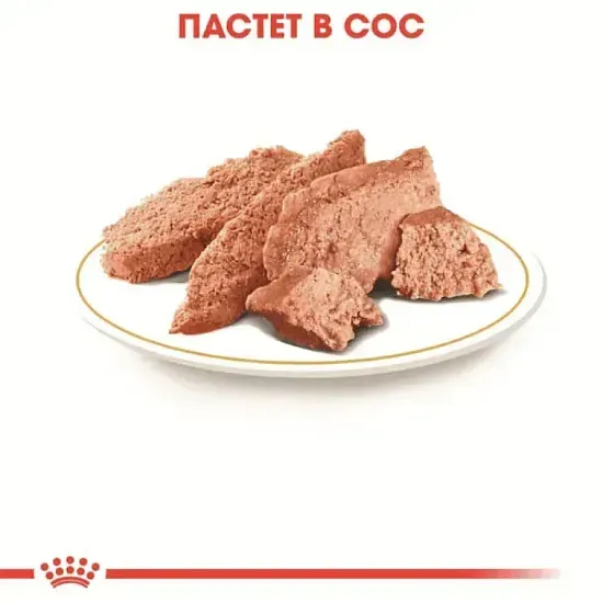 ROYAL CANIN® BHN POODLE paste 85g - изображение 1