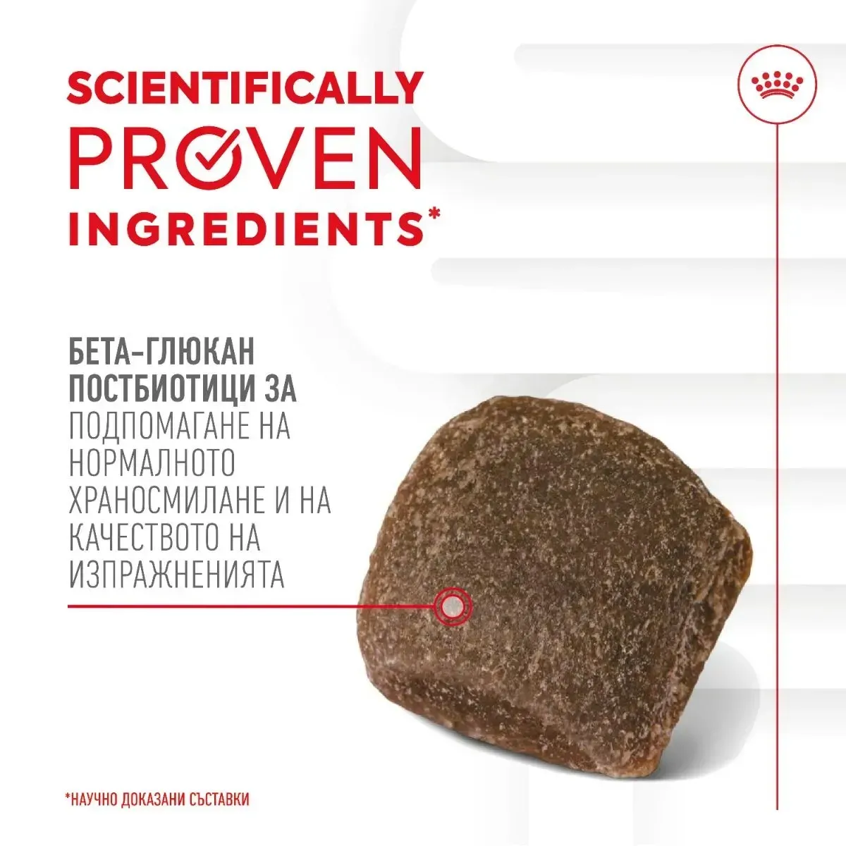 ROYAL CANIN® Adult Food Supplement 160 g - изображение 3