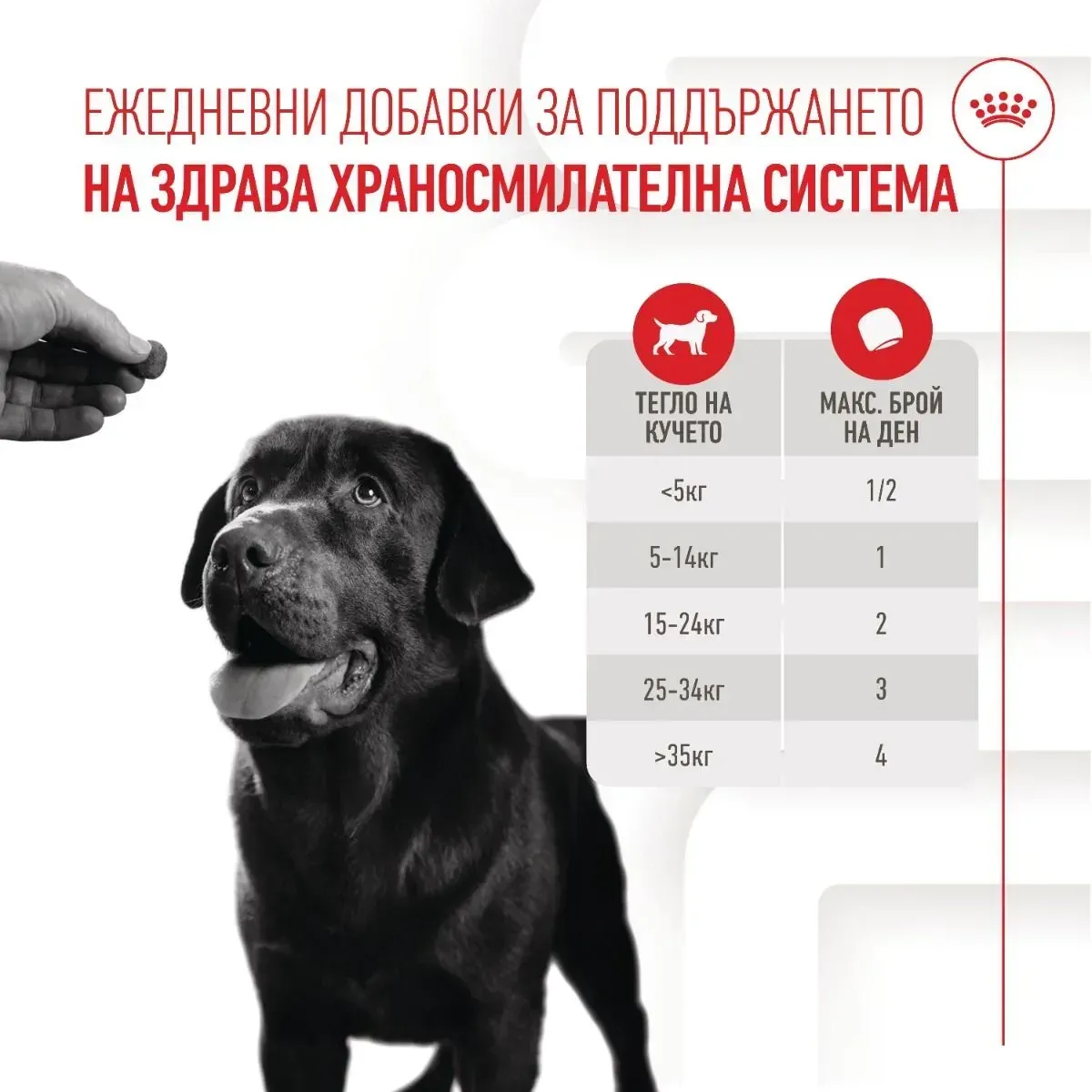 ROYAL CANIN® Adult Food Supplement 160 g - изображение 4