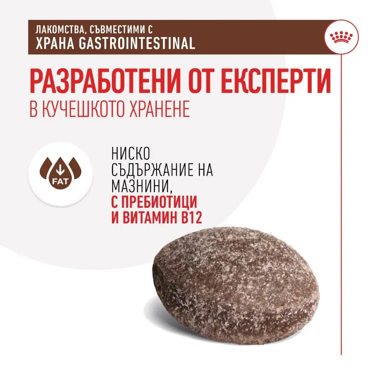 ROYAL CANIN® VHN Gastrointestinal Care Dog Treat 230 g - изображение 1