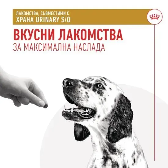 ROYAL CANIN® VHN URINARY KUCCHESHKO TREATS 230 GR - изображение 3